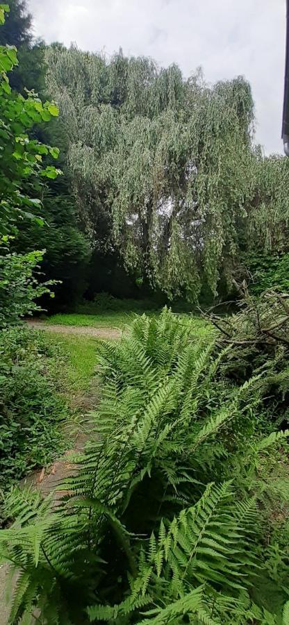 Fewo Im Naturschutzgebiet Hiddenhausen Екстериор снимка