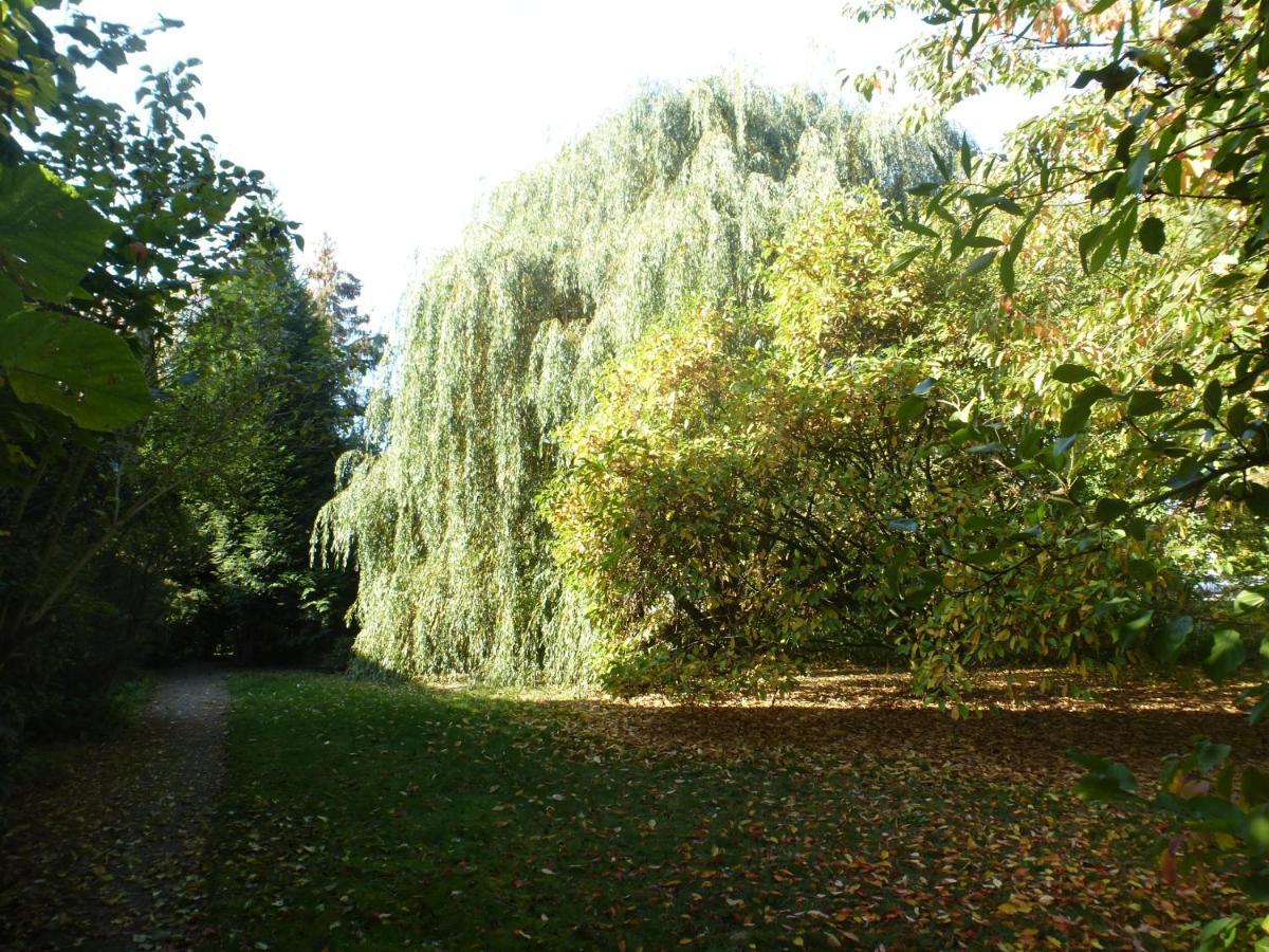 Fewo Im Naturschutzgebiet Hiddenhausen Екстериор снимка