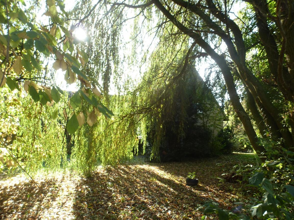Fewo Im Naturschutzgebiet Hiddenhausen Екстериор снимка
