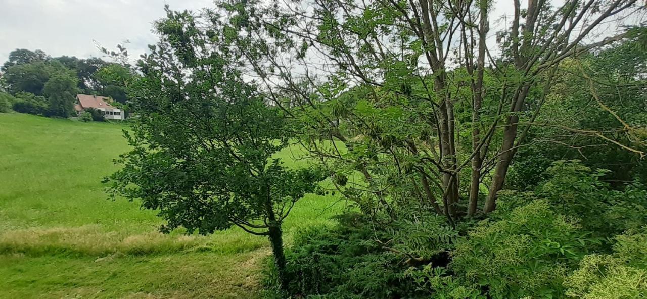 Fewo Im Naturschutzgebiet Hiddenhausen Екстериор снимка